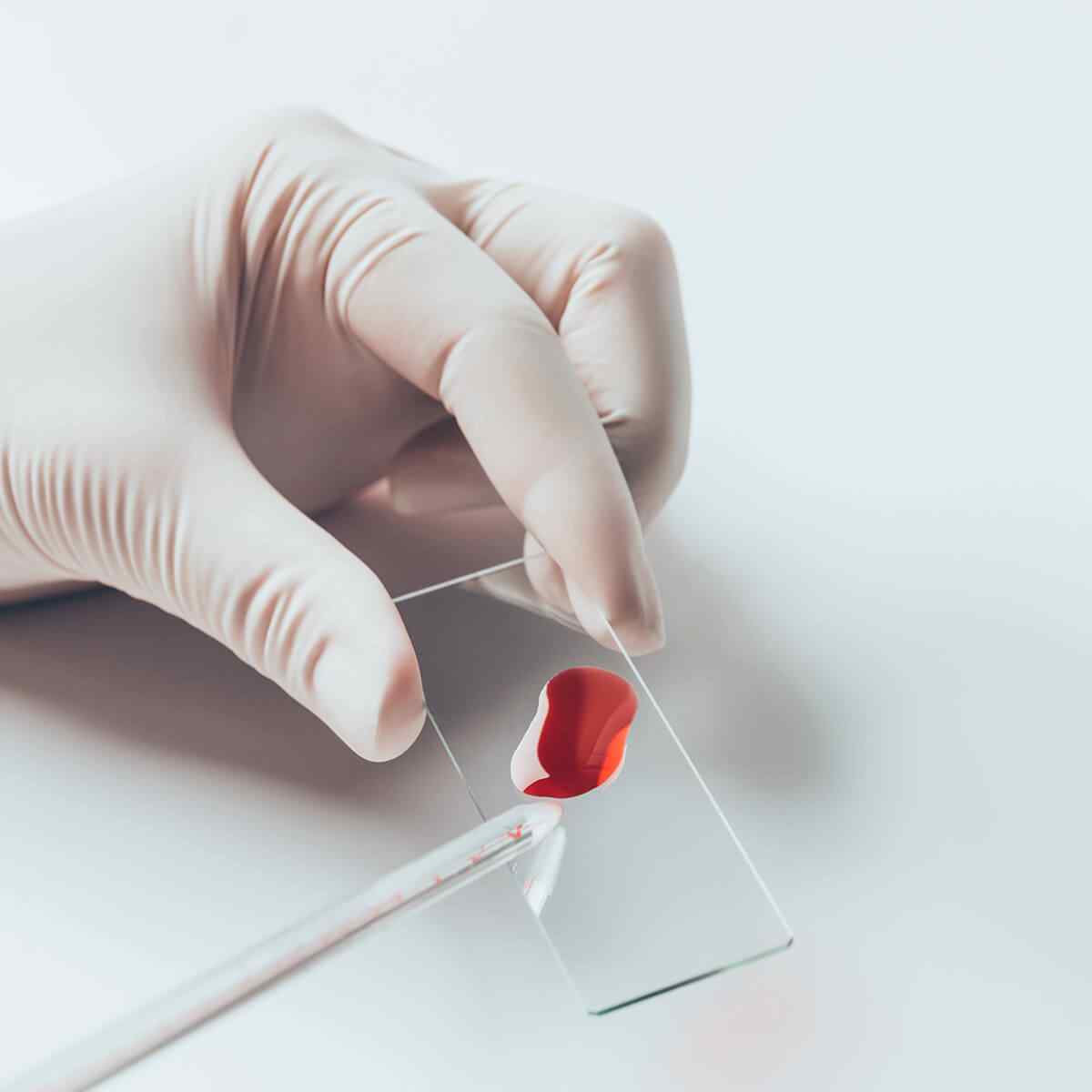 Melissa Williamson, PhD